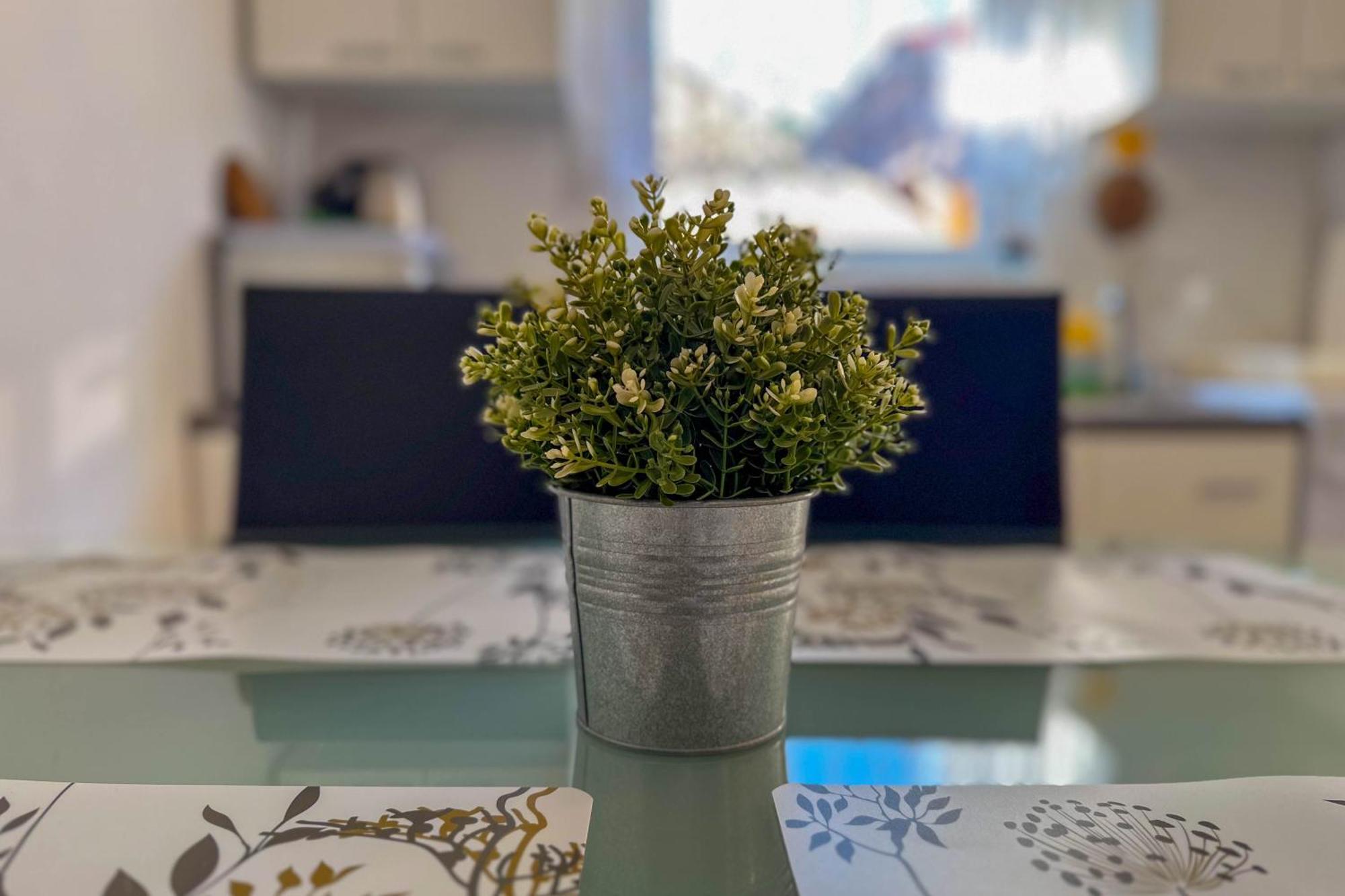Apartmani Trupeljak Mandre Buitenkant foto
